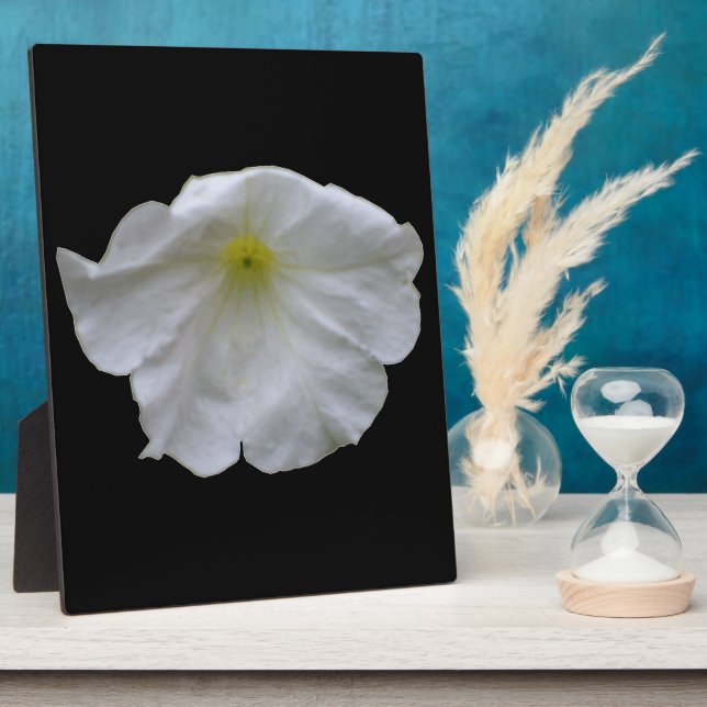 Beautiful White Petunia Plaque (Side)