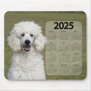 Beautiful White Poodle 2025 Dog Calendar Mouse Mat