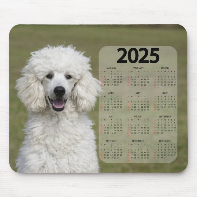 Beautiful White Poodle 2025 Dog Calendar Mouse Mat (Front)