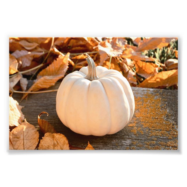 Beautiful White Pumpkin Autumn Leaves Photo Print (Front)