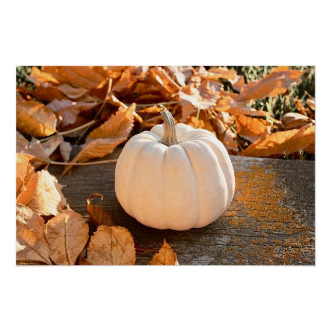 Beautiful White Pumpkin Autumn Leaves Poster (Front)