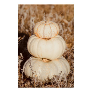 Beautiful White Pumpkins Autumn Meadow Poster