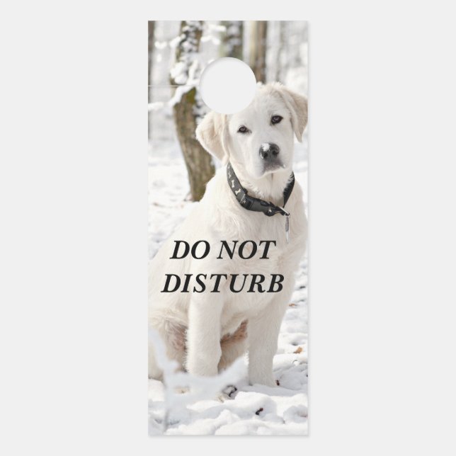 Beautiful White Pyrenees Door Hanger (Front)