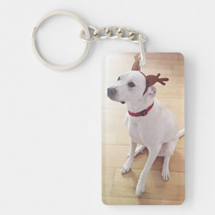 Beautiful White Reindeer Puppy Dog Christmas Red Key Ring