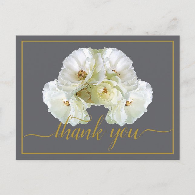 Beautiful White Rose Colour Backdrop Chic Thank Yo Postcard (Front)