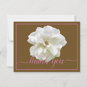 Beautiful White Rose Colour Backdrop Chic Thank Yo Postcard