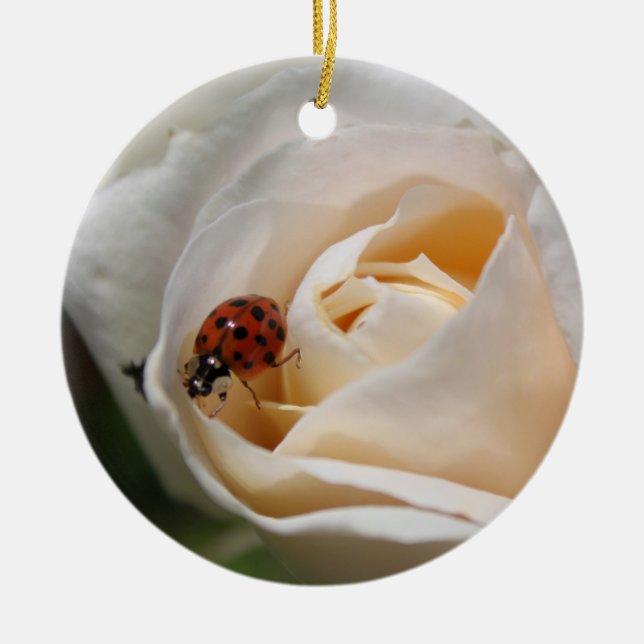 beautiful white rose flower and ladybug ceramic tree decoration (Front)