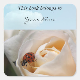 beautiful white rose flower and ladybug square sticker