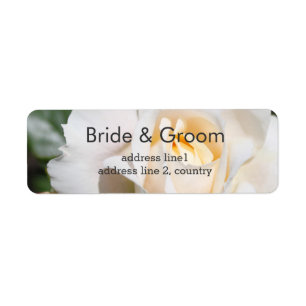 Beautiful white rose flower bride & groom wedding