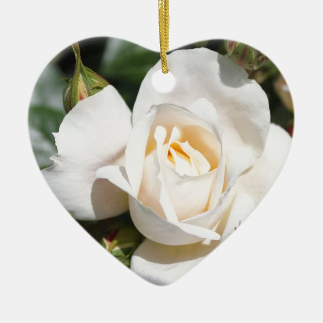 beautiful white rose flower. love and romance ceramic tree decoration (Front)