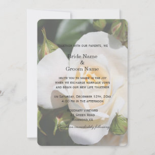 Beautiful white rose flower wedding invitations. invitation
