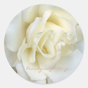 Beautiful white rose small sticker