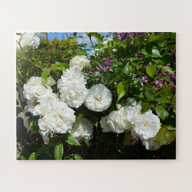Beautiful white roses jigsaw puzzle (Horizontal)