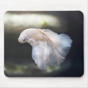 Beautiful White Siamese Betta Fighting Fish Mouse Mat