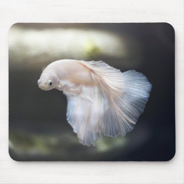Beautiful White Siamese Betta Fighting Fish Mouse Mat (Front)