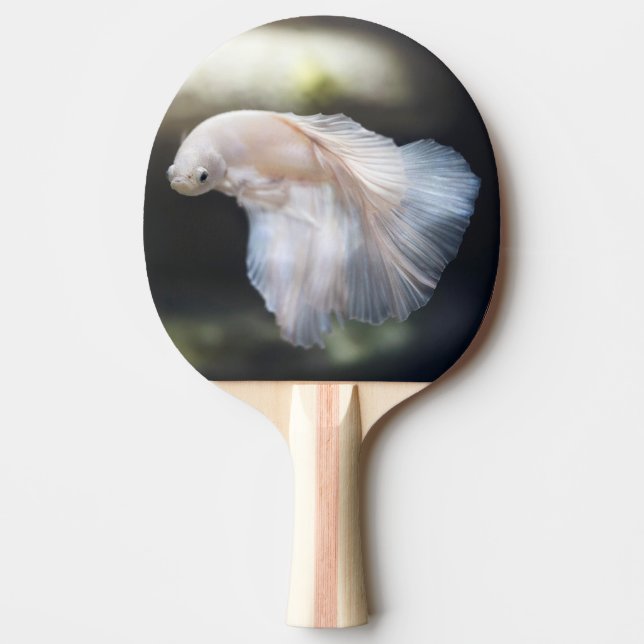 Beautiful White Siamese Betta Fighting Fish Ping Pong Paddle (Front)