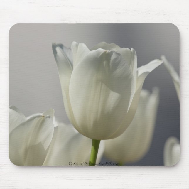 Beautiful White Spring Tulips Mouse Mat (Front)