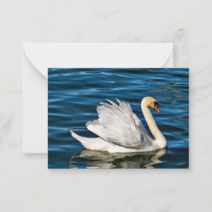 Beautiful White Swan Card
