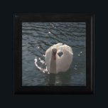 Beautiful white swan gift box<br><div class="desc">Beautiful,  proud white swan and pretty light reflections in dark water.</div>