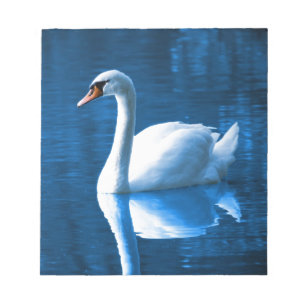 Beautiful white swan in water notepad
