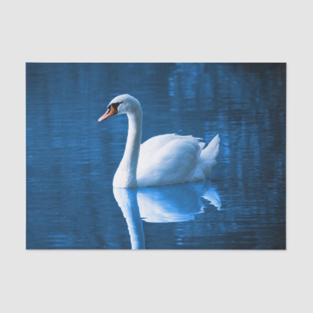 Beautiful white swan in water tissue paper (Front)
