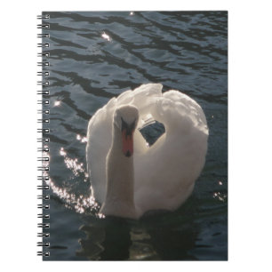 Beautiful white swan notebook