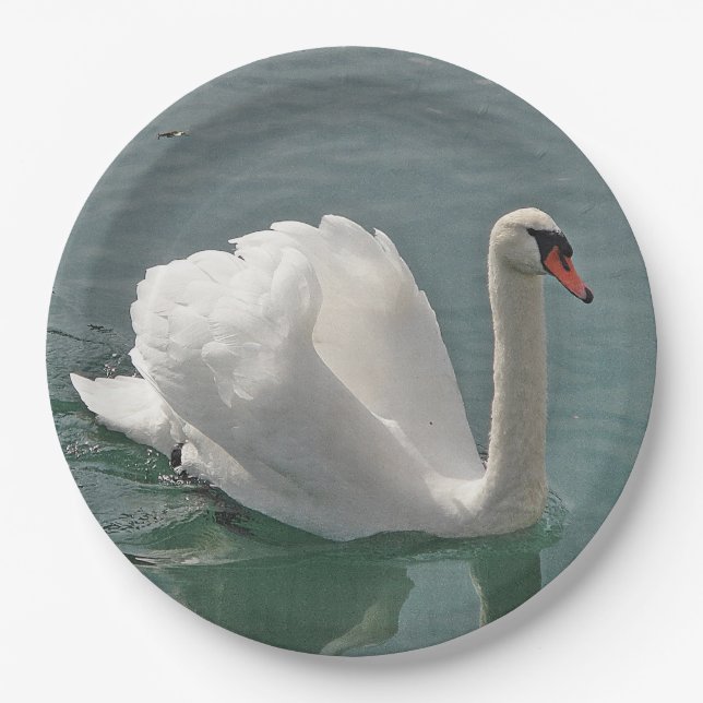 Beautiful white swan paper plate (Front)