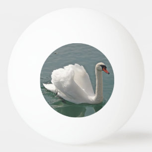 Beautiful white swan ping pong ball