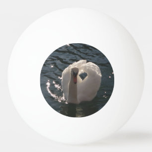 Beautiful white swan ping pong ball