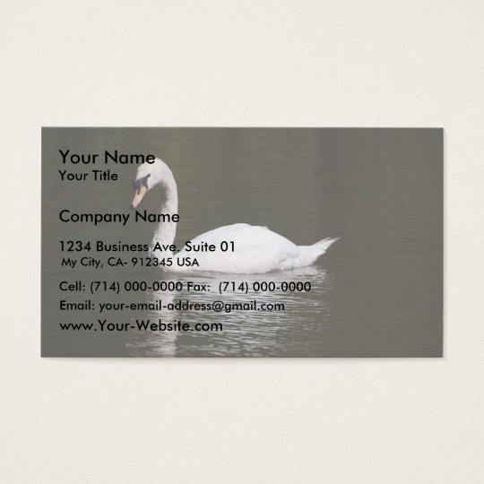 Beautiful White Swan Swimming In Lake Water Business Card