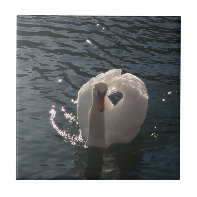 Beautiful white swan tile (Front)