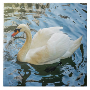 Beautiful white swan view ceramic tile