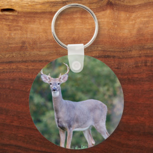Beautiful White-tailed Buck Deer in Field   Key Ring