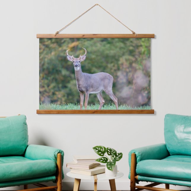 Beautiful White-tailed Deer in Field Hanging Tapestry (Living Room)