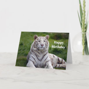 Beautiful White Tiger Photo Birthday Card