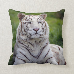 Beautiful White Tiger Photo Cushion