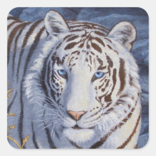 Beautiful White Tiger with Crystal Blue Eyes Square Sticker