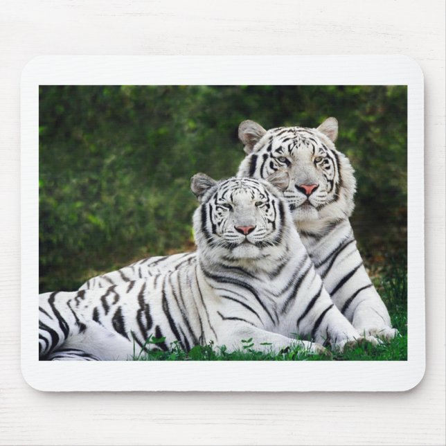 Beautiful White Tigers Mouse Mat (Front)