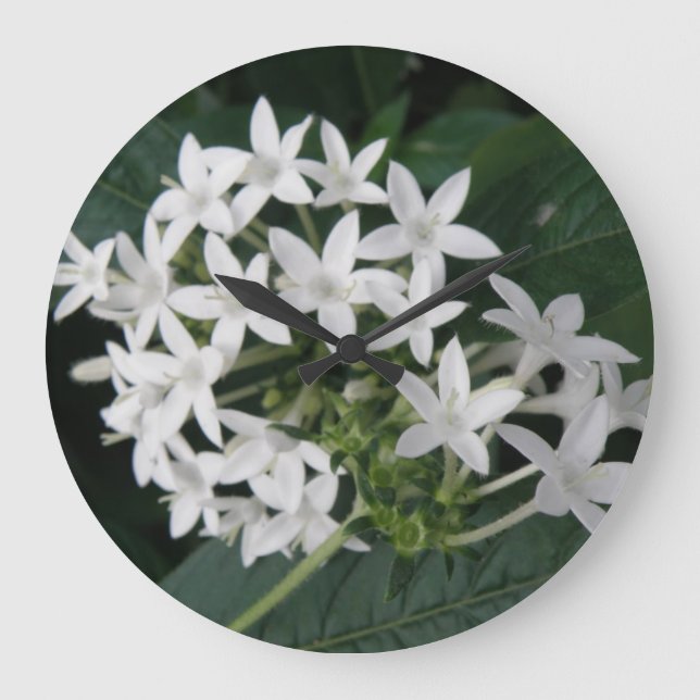 Beautiful White Tropical Flowers Wall Clock (Front)
