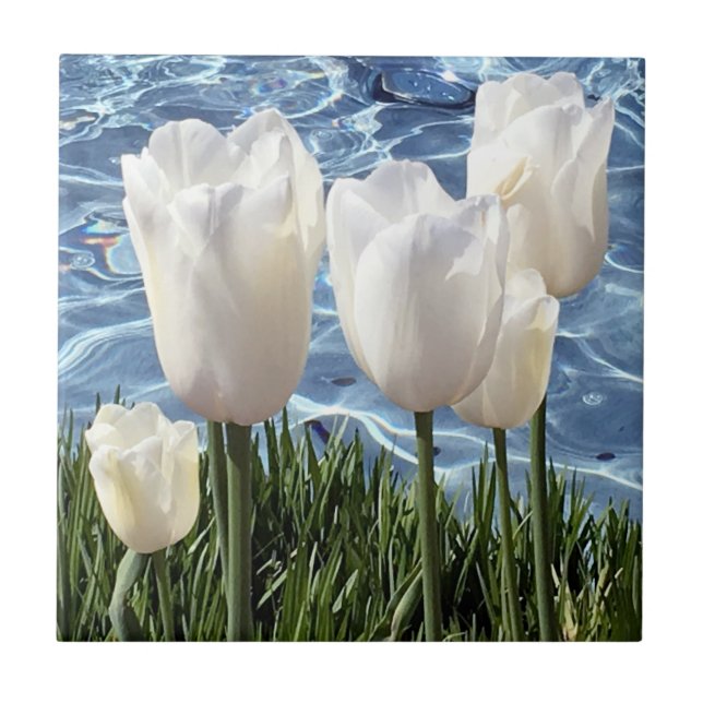 Beautiful White Tulips Tile (Front)