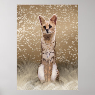 Beautiful Wild African Serval Cat Poster