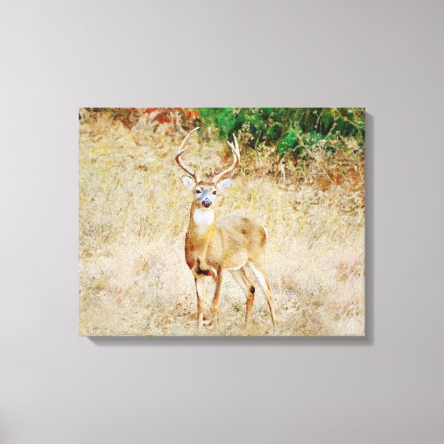 Beautiful Wild Deer Buck Photographic Art Canvas Print (Front)