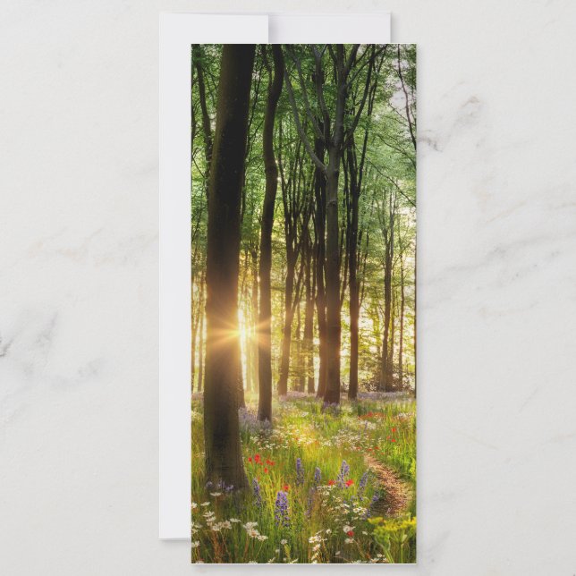 Beautiful wild flower woodland path & dawn sunrise invitation (Front)