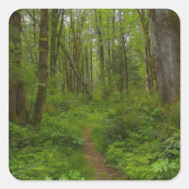 Beautiful Wilderness Scene from Nature Square Sticker (Front)