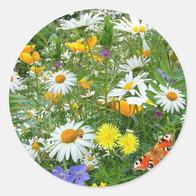 Beautiful Wildflower and Butterfly Meadow Classic Round Sticker (Front)