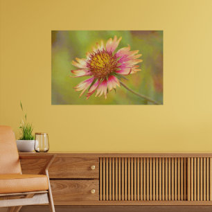 Beautiful Wildflower Firewheel Art Poster