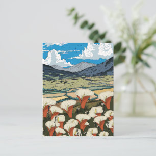 Beautiful Wildflower Meadow Landscape Postcard
