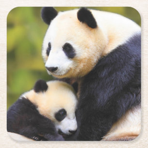 Beautiful Wildlife Coaster Set
