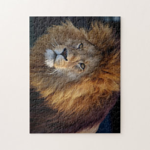 Beautiful Wildlife Jigsaw Puzzle