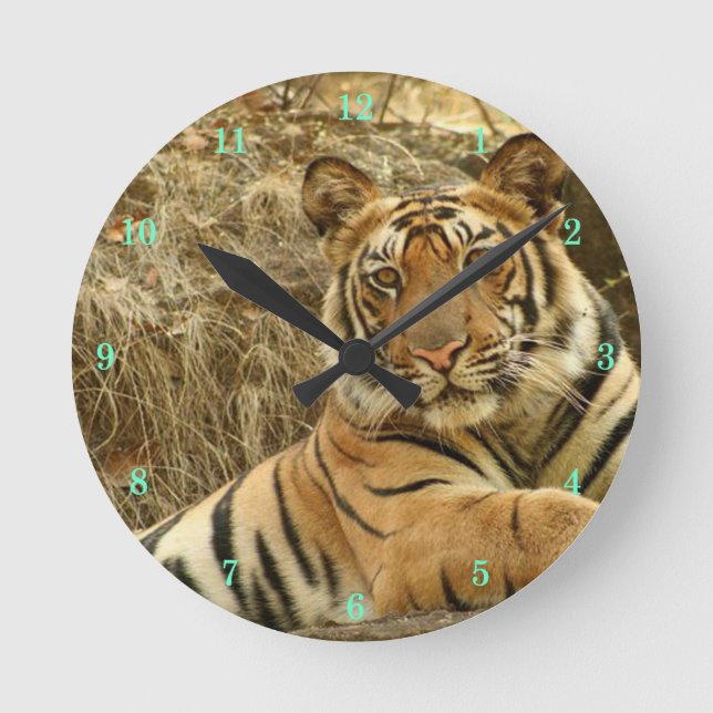 Beautiful Wildlife Wall Clock (Front)
